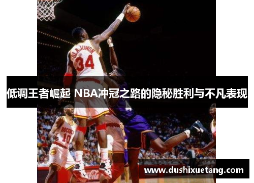 低调王者崛起 NBA冲冠之路的隐秘胜利与不凡表现