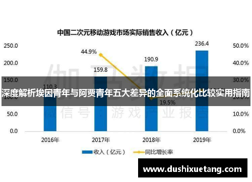 深度解析埃因青年与阿贾青年五大差异的全面系统化比较实用指南
